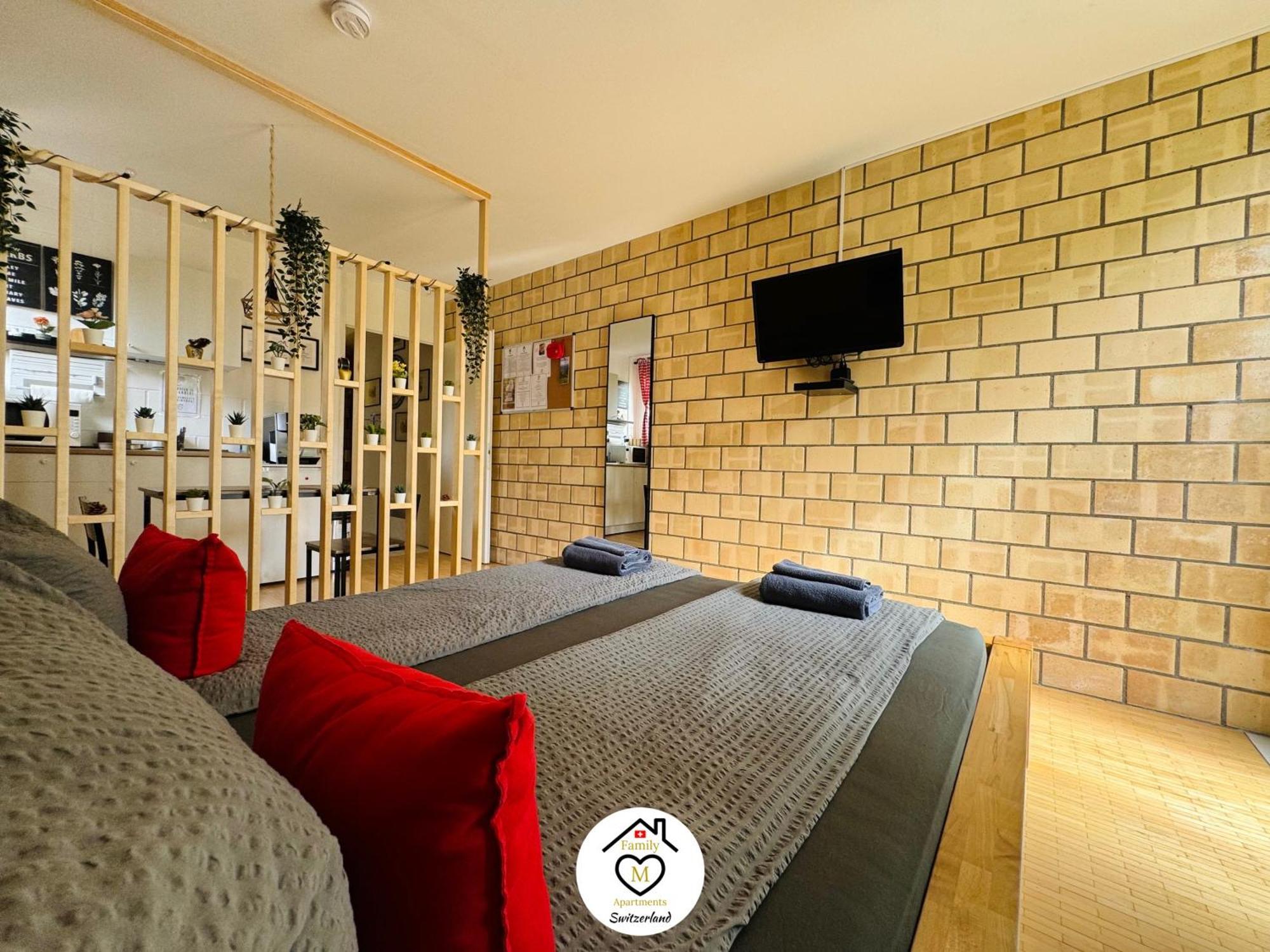 Family M Apartments 1 Kappel bei Olten エクステリア 写真